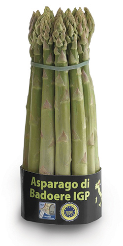 Asparago Verde Badoere 250x500 Asparago Verde Badoere 250x500